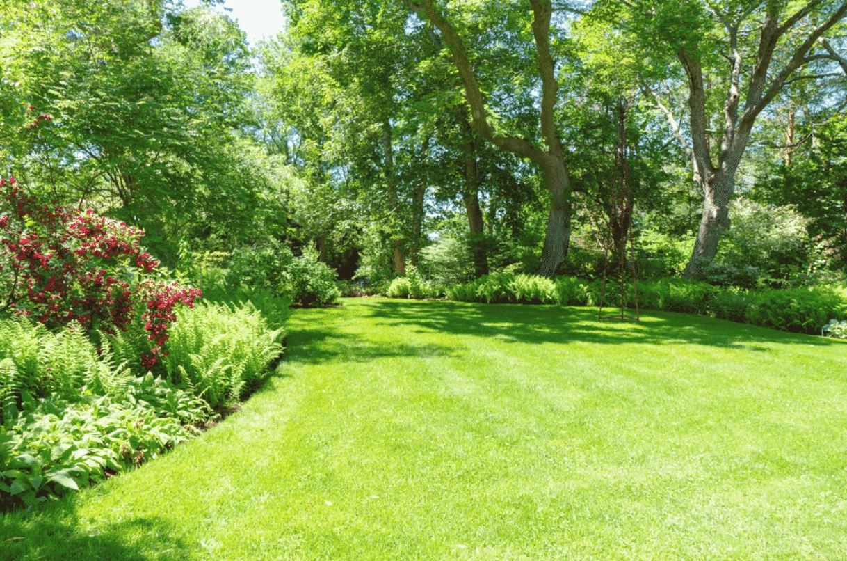 Lawn care in Austin, TX - Marathon Lawn Care