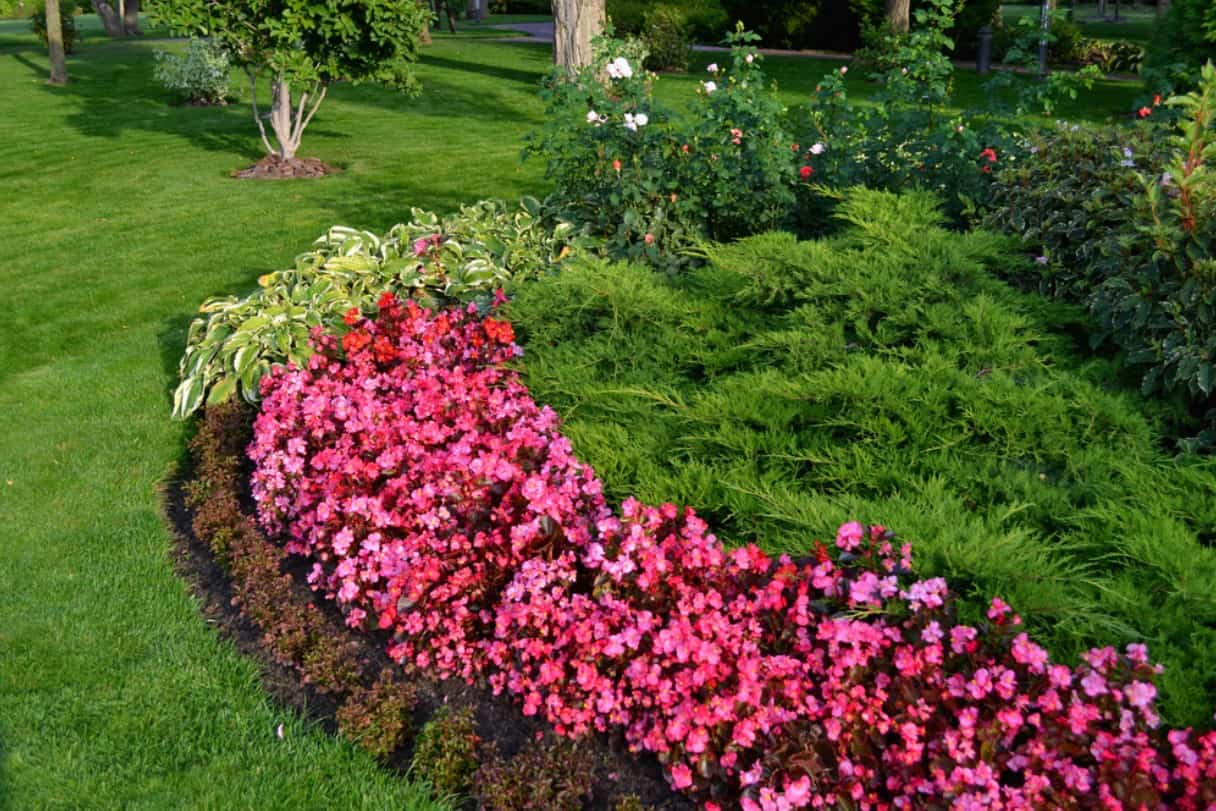 What Are the Best Tips for Maintaining Your Flowerbeds in Texas ...